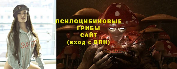 COCAINE Богородск