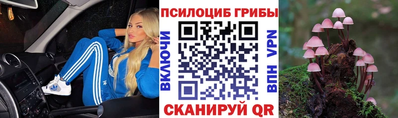 Псилоцибиновые грибы Magic Shrooms  MEGA как зайти  Меленки  где найти  